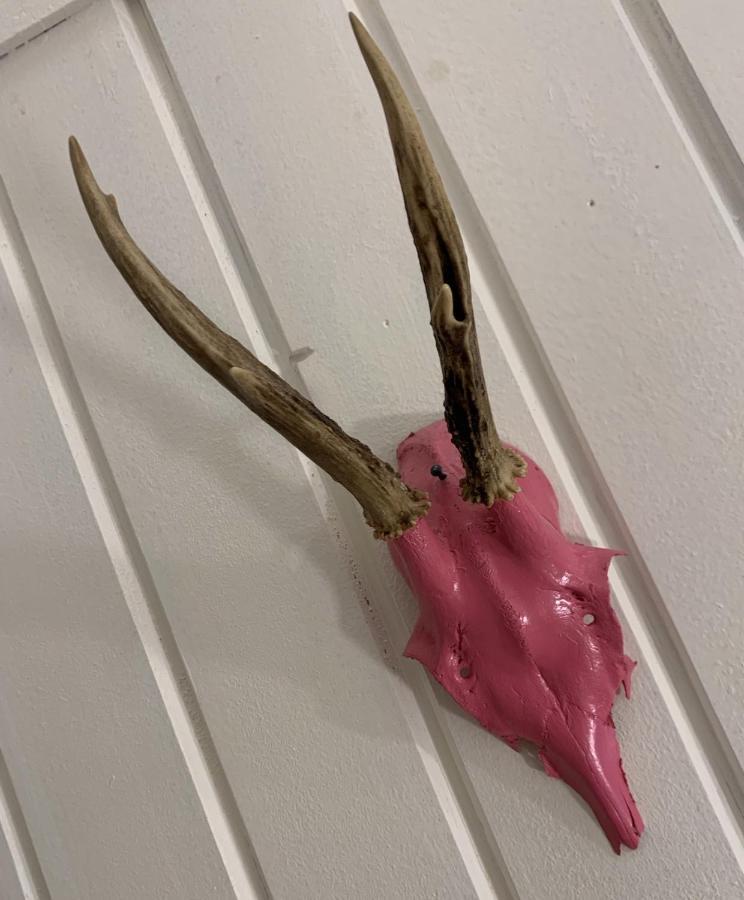 ハルシュタットPinkdeerアパートメント エクステリア 写真